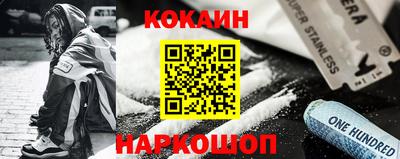 индика Кингисепп