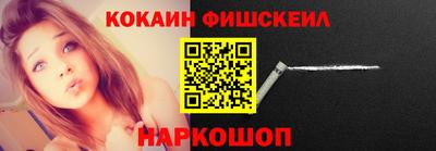 индика Кингисепп