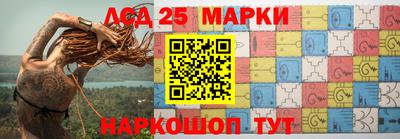 индика Кингисепп