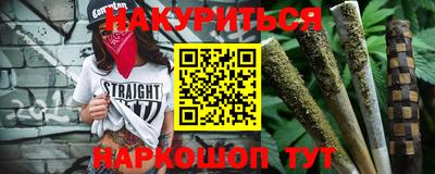 индика Кингисепп