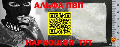 индика Кингисепп