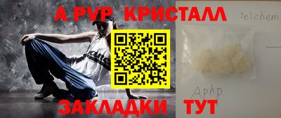индика Кингисепп