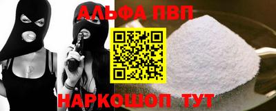 индика Кингисепп