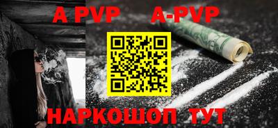 индика Кингисепп