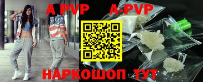 индика Кингисепп